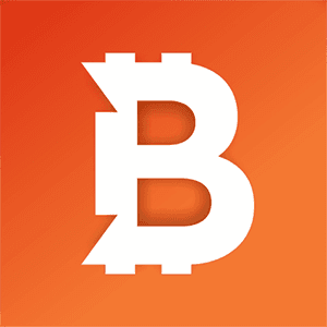 Bitci logo