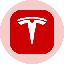 Tesla Tokenized Stock (Ondo) icon